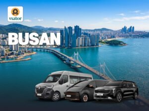 Busan 1 Day Charter Tour (from Busan)