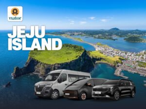 Jeju Island 1 Day Charter