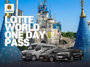 Lotte World Private Round Trip Transfer + ONE Day Pass