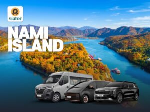 Nami Island & Nearby Charter Tour